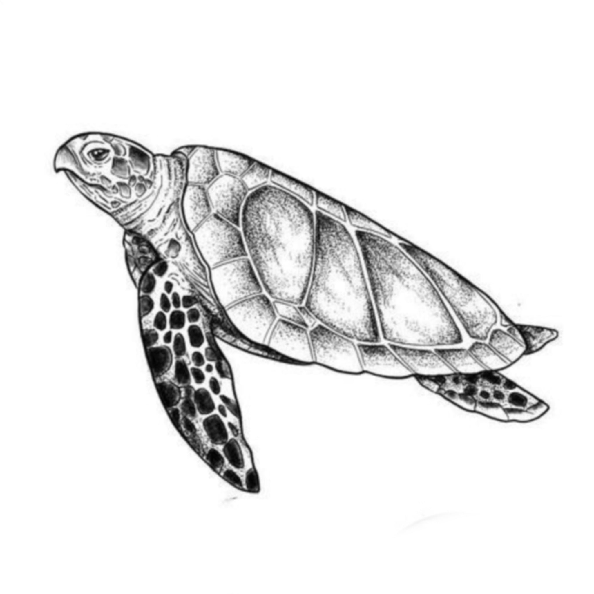 Mar