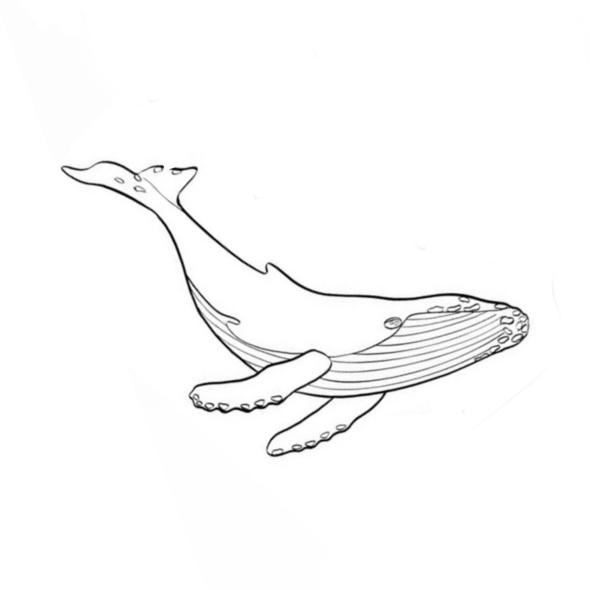 Mar