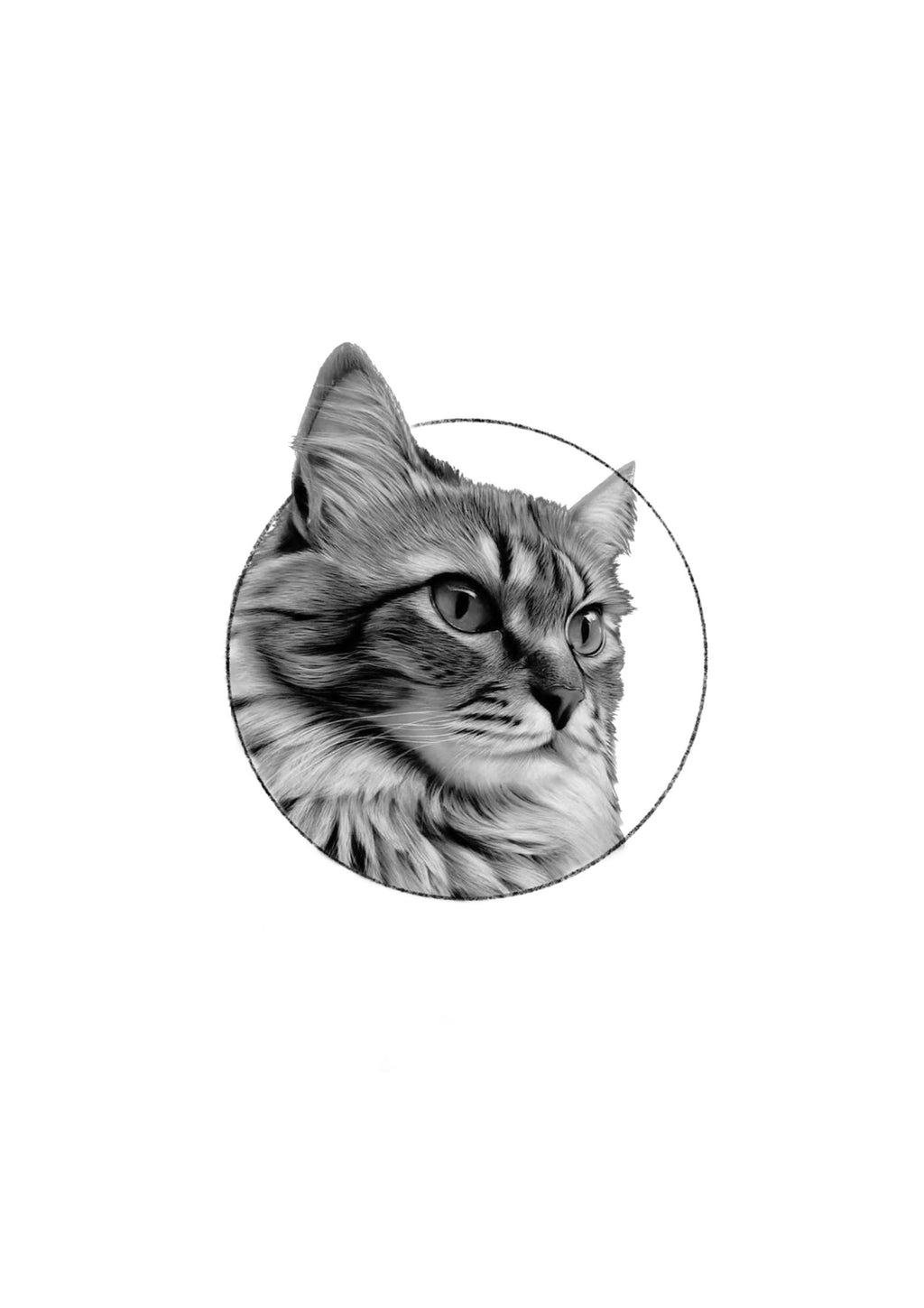 Faça Seu Pet Personalizado