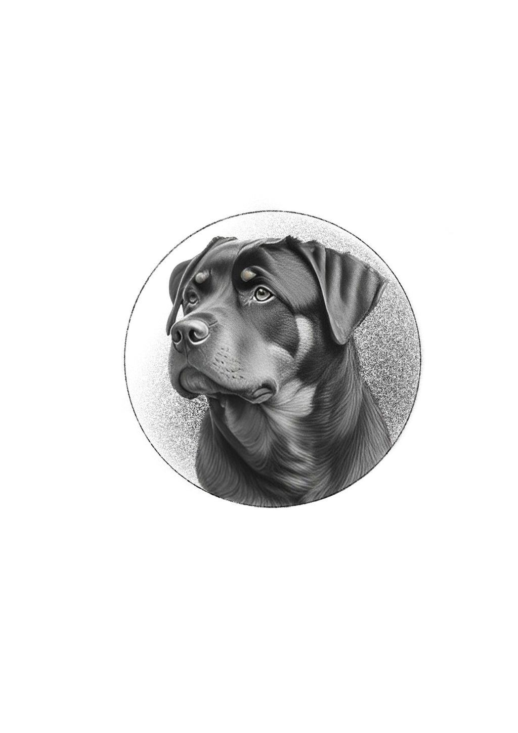 Faça Seu Pet Personalizado