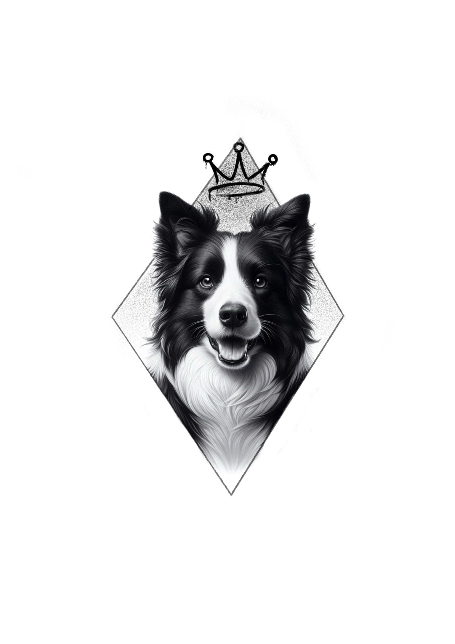Faça Seu Pet Personalizado