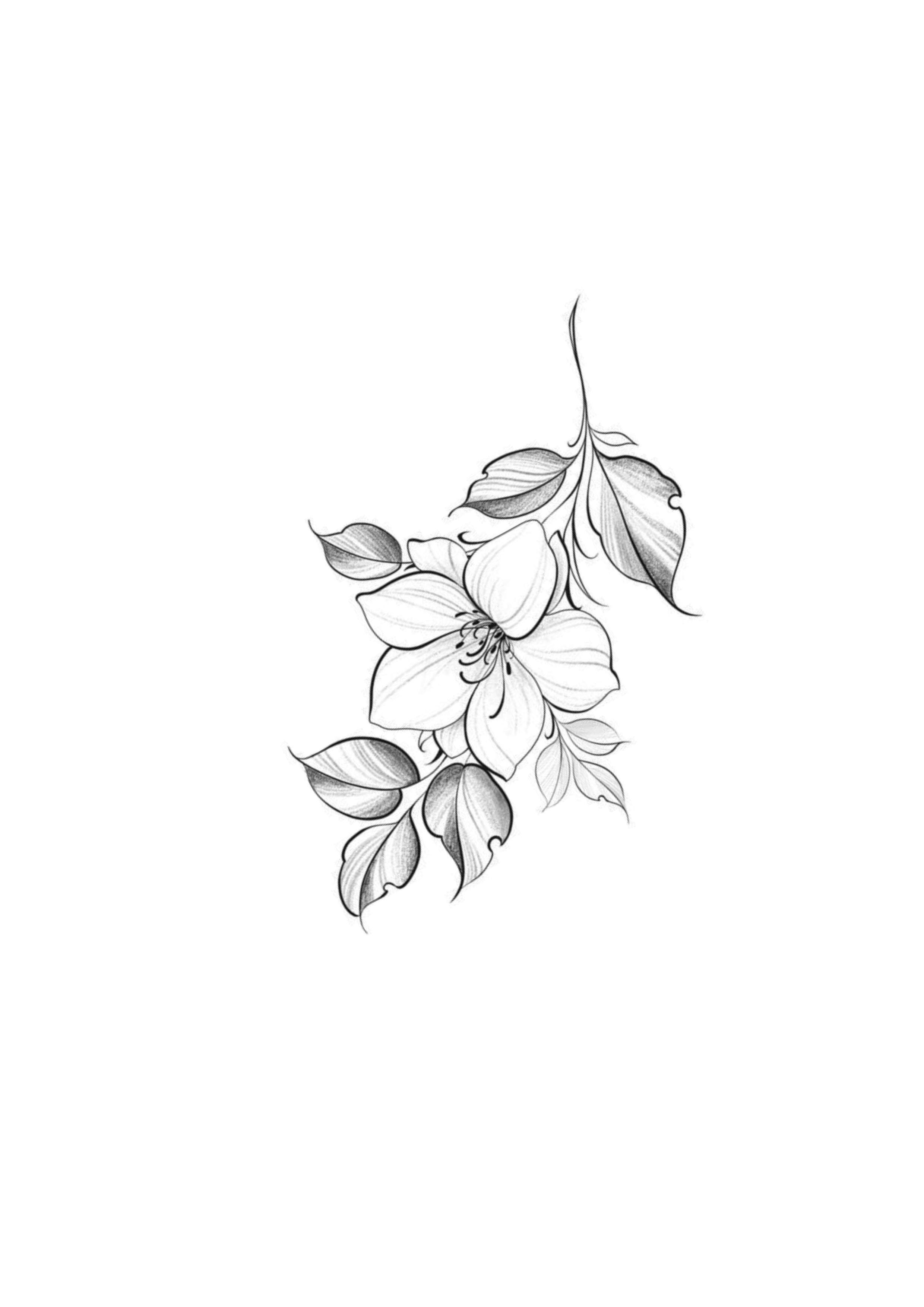Flor