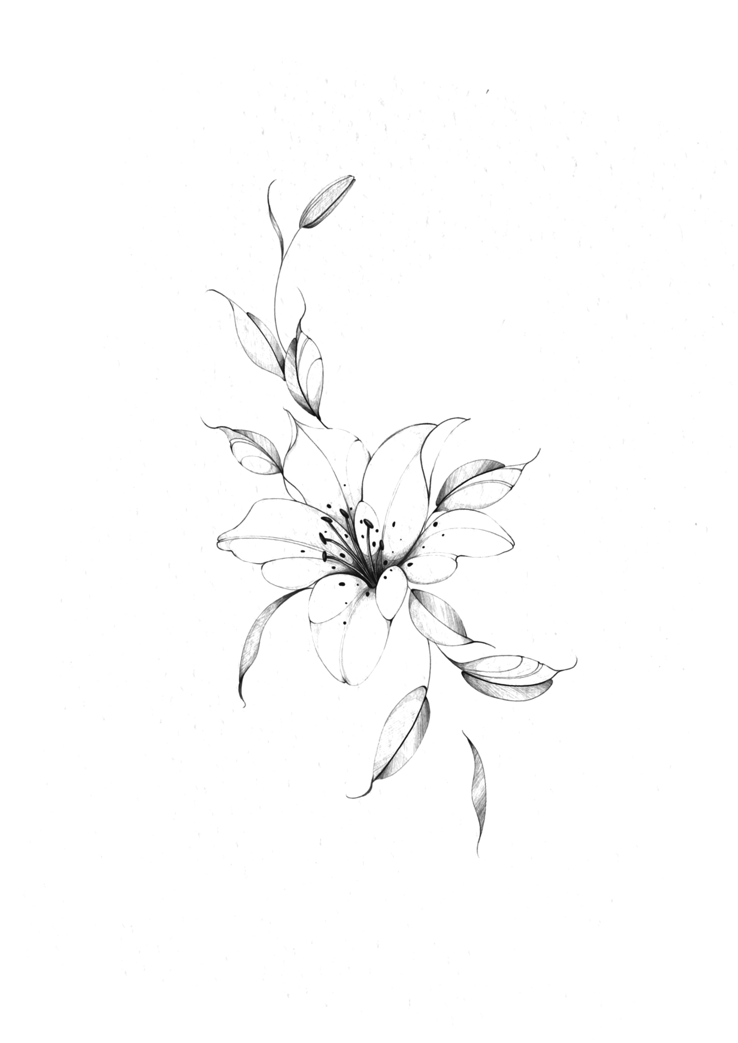 Flor