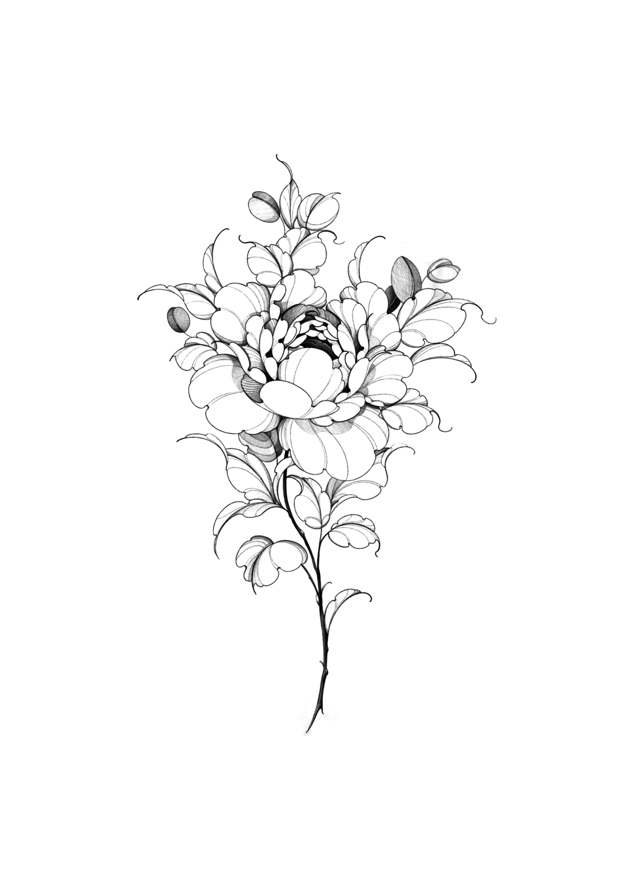 Flor