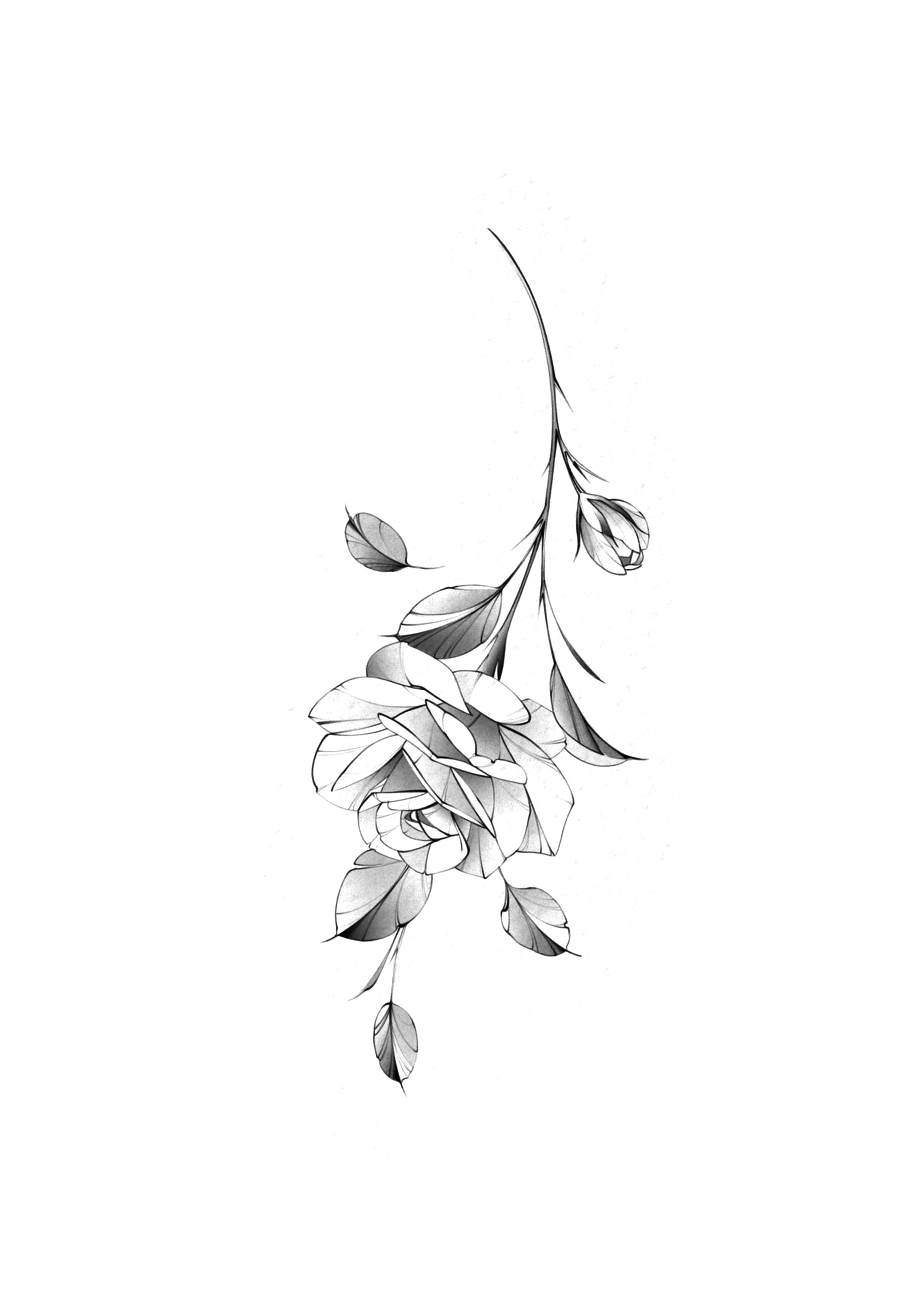 Flor