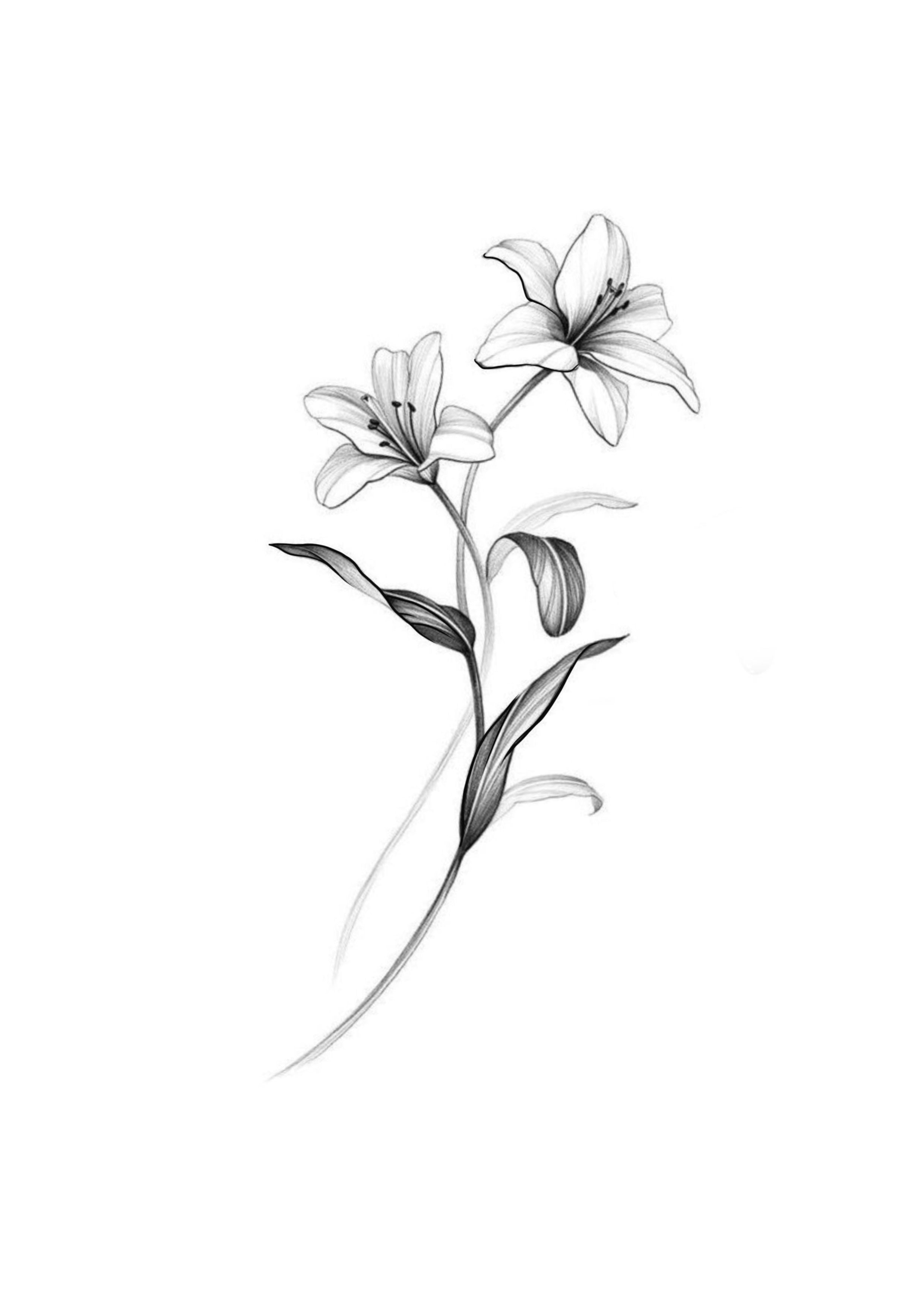 Flor