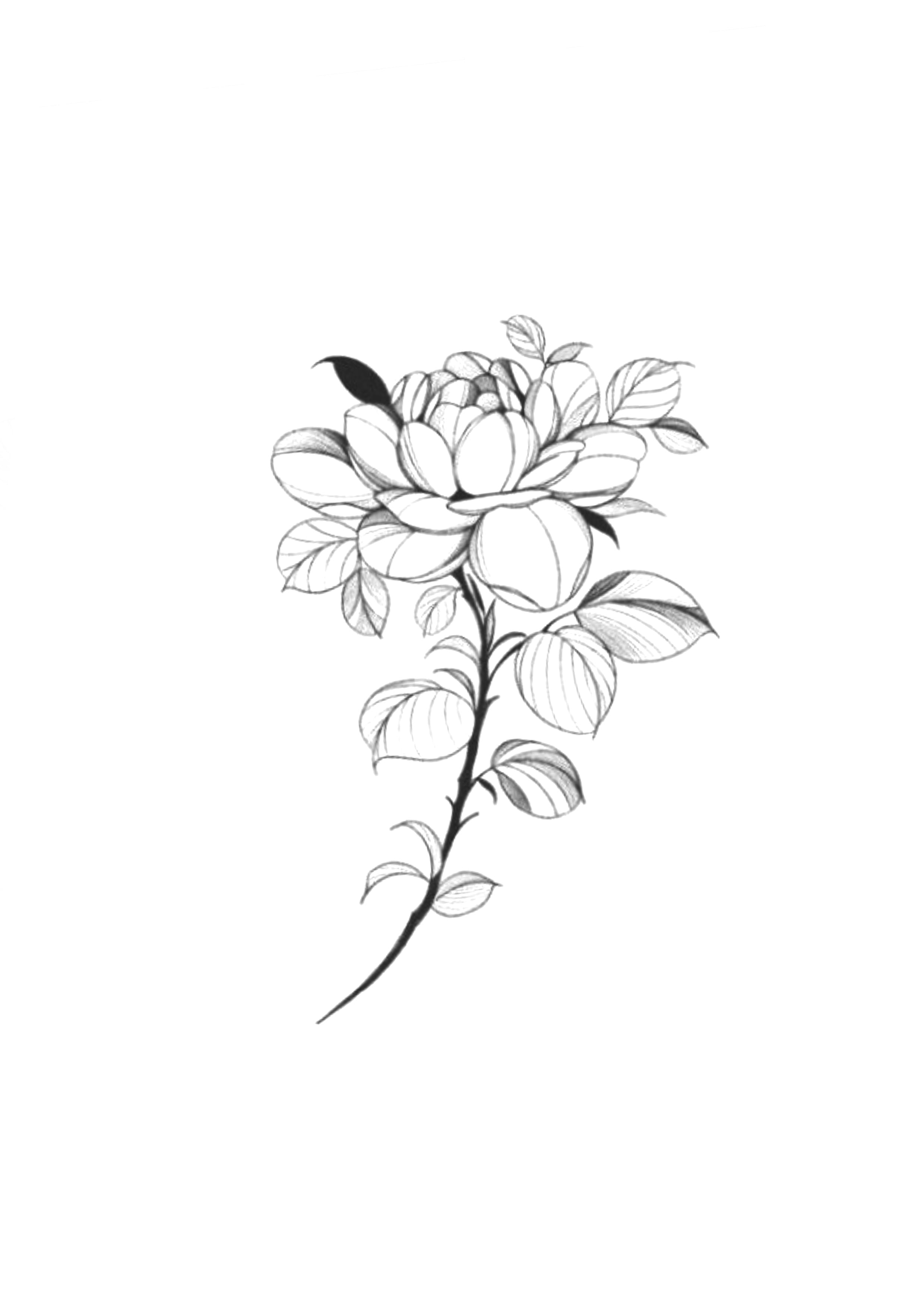 Flor