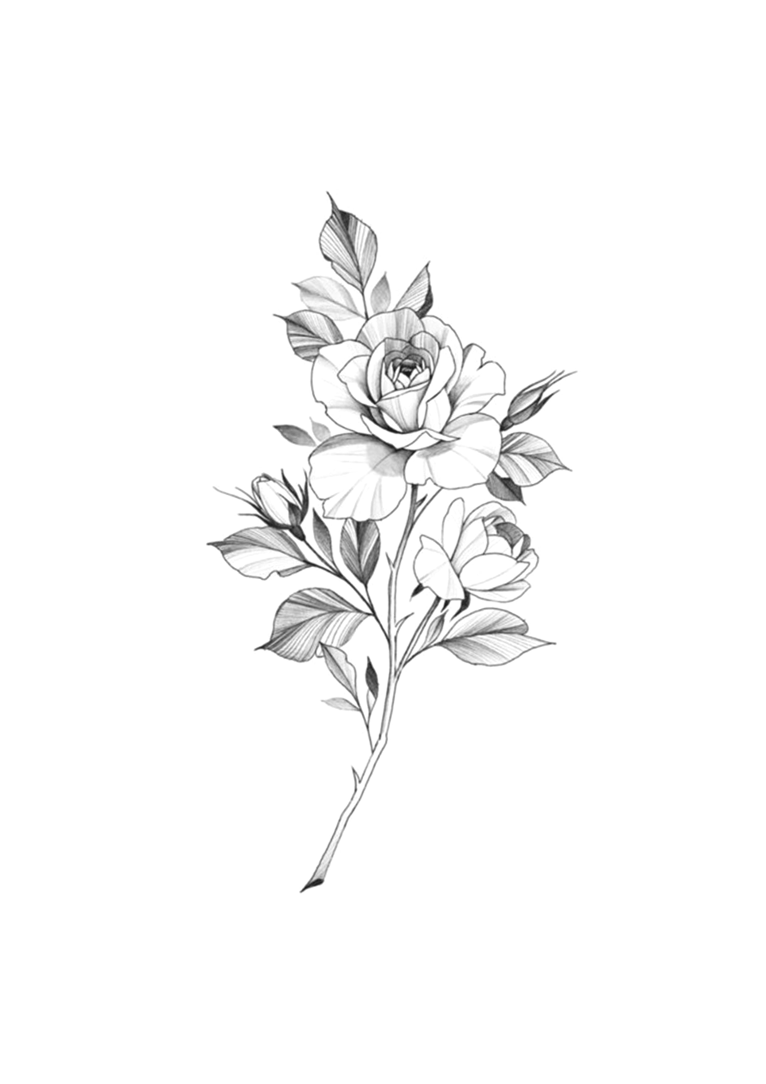 Flor