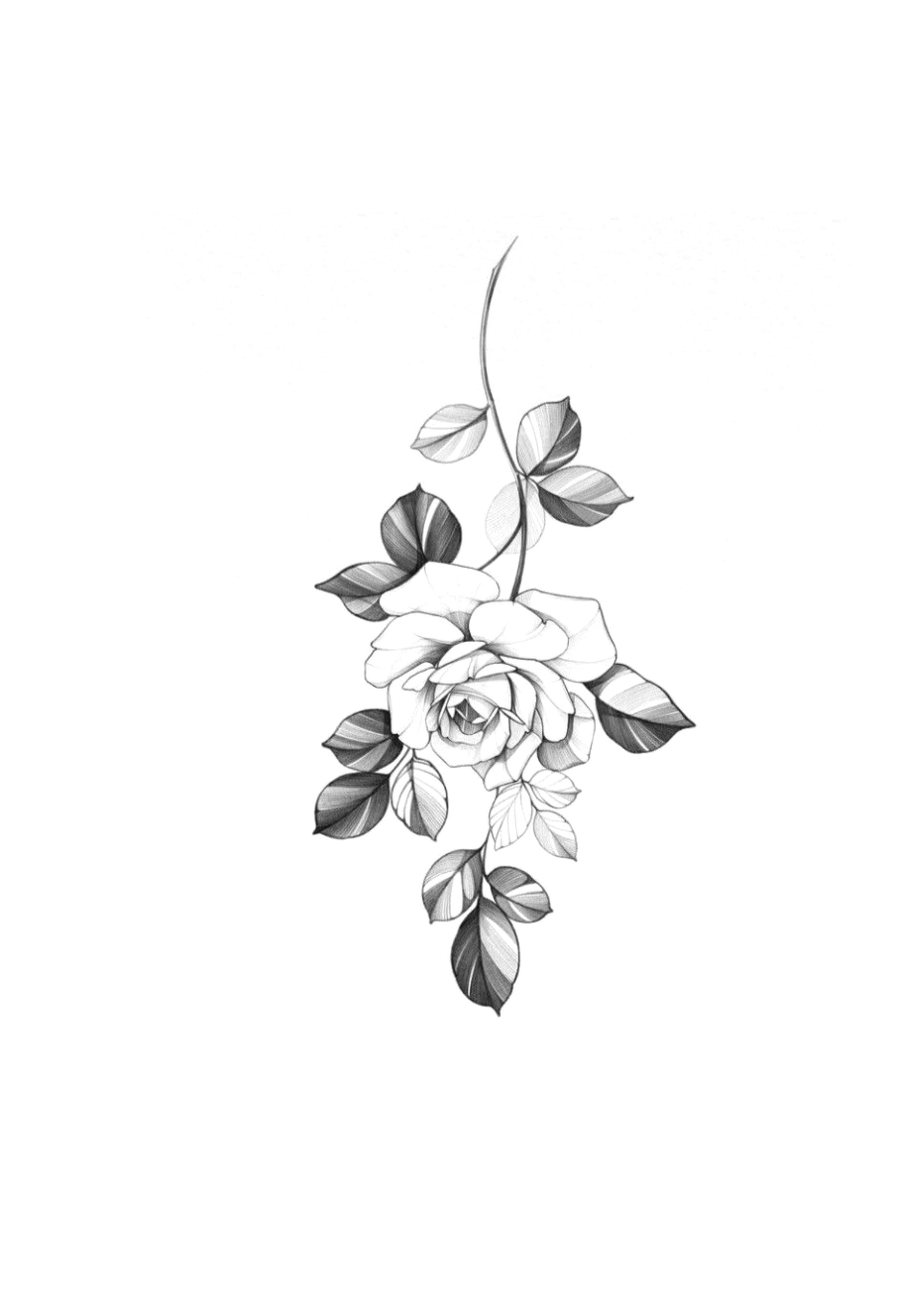 Flor