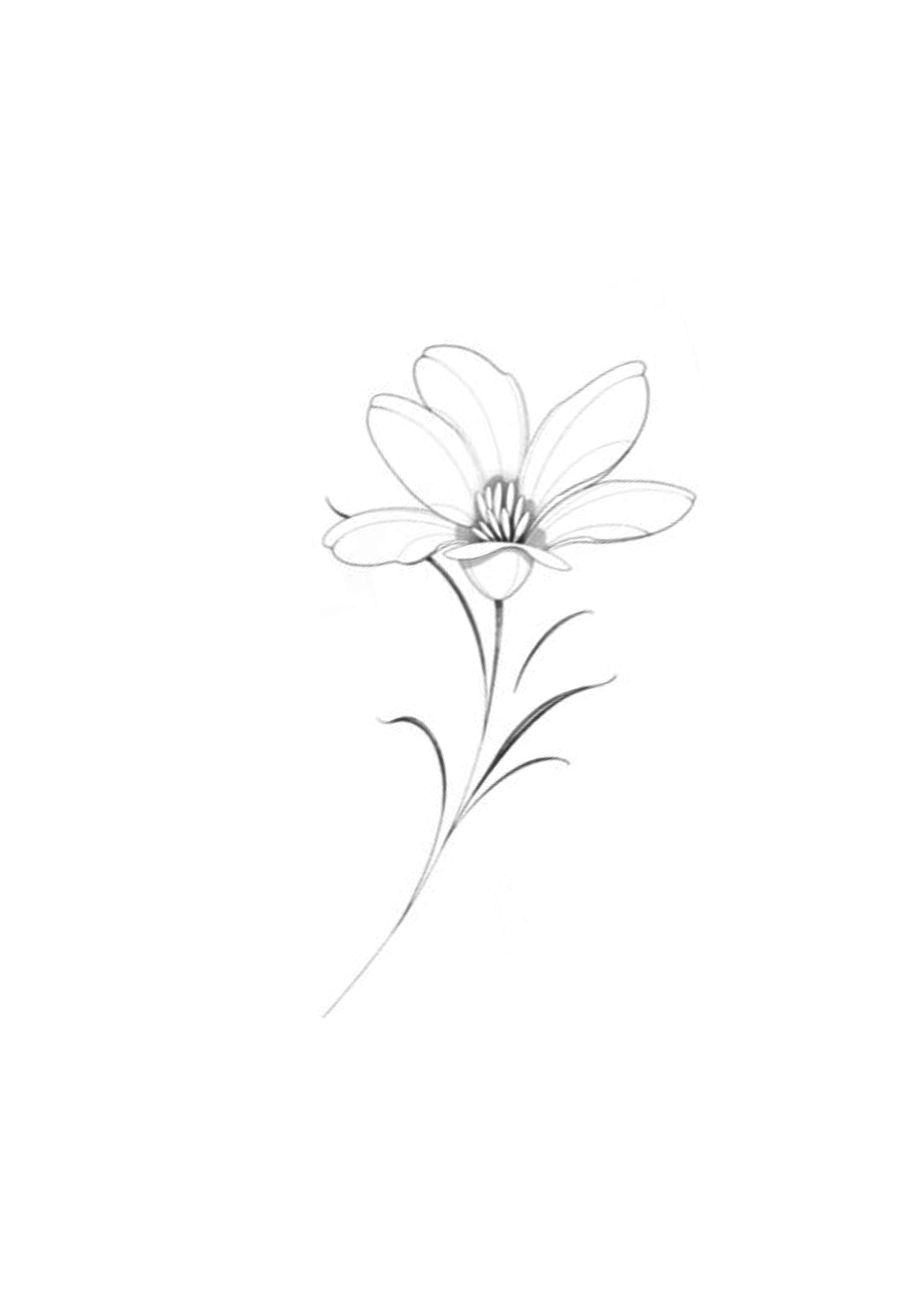 Flor