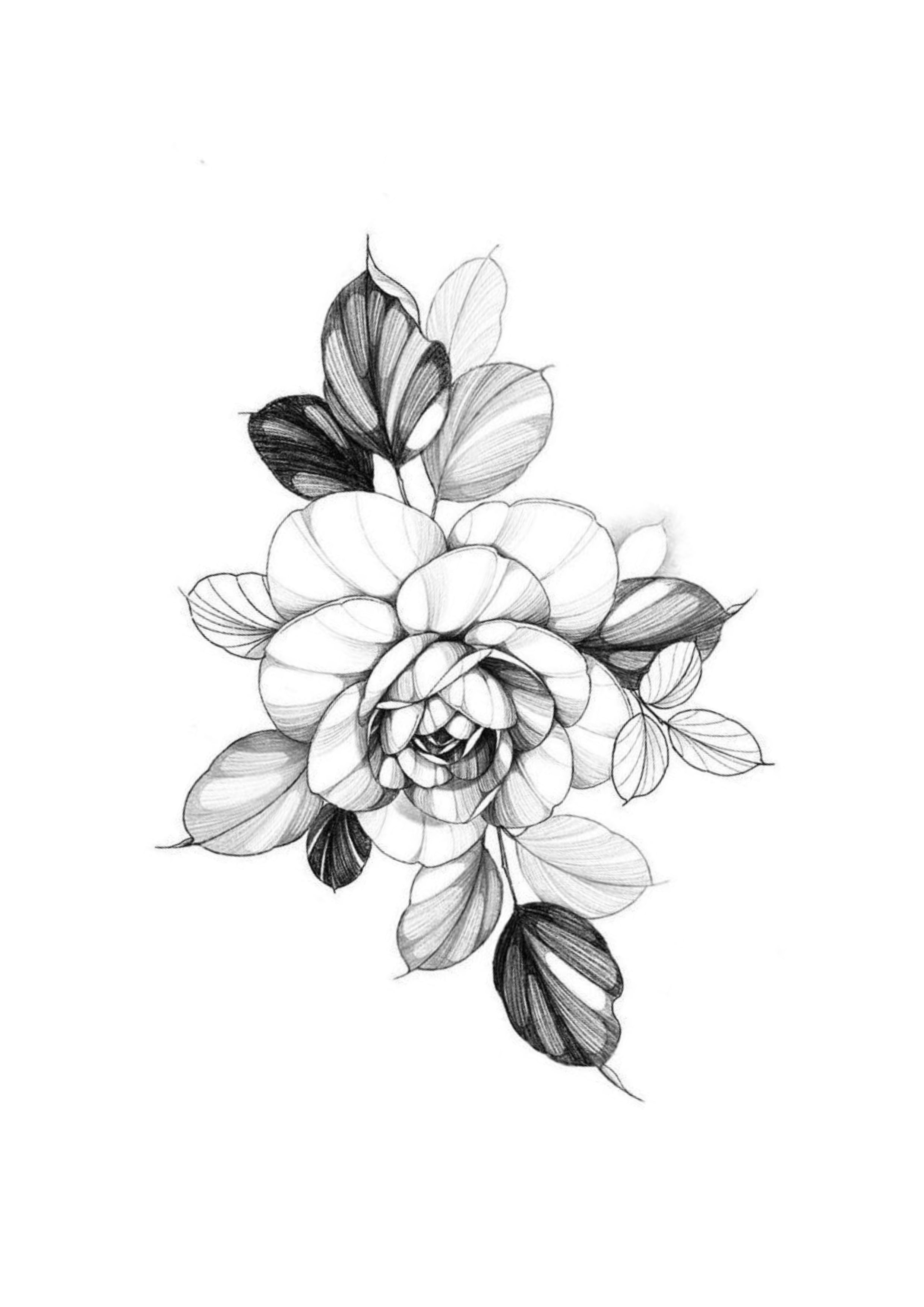 Flor