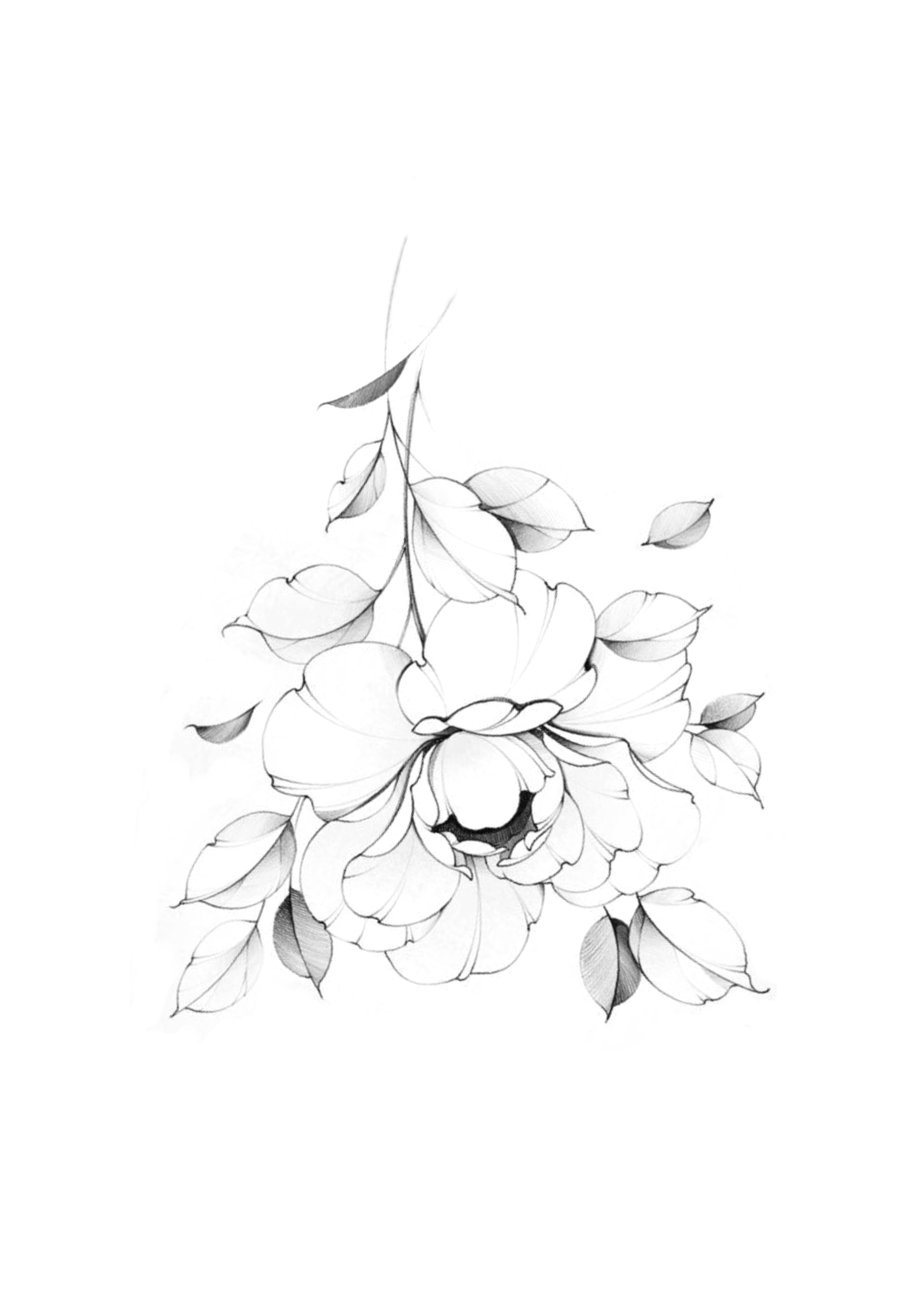 Flor