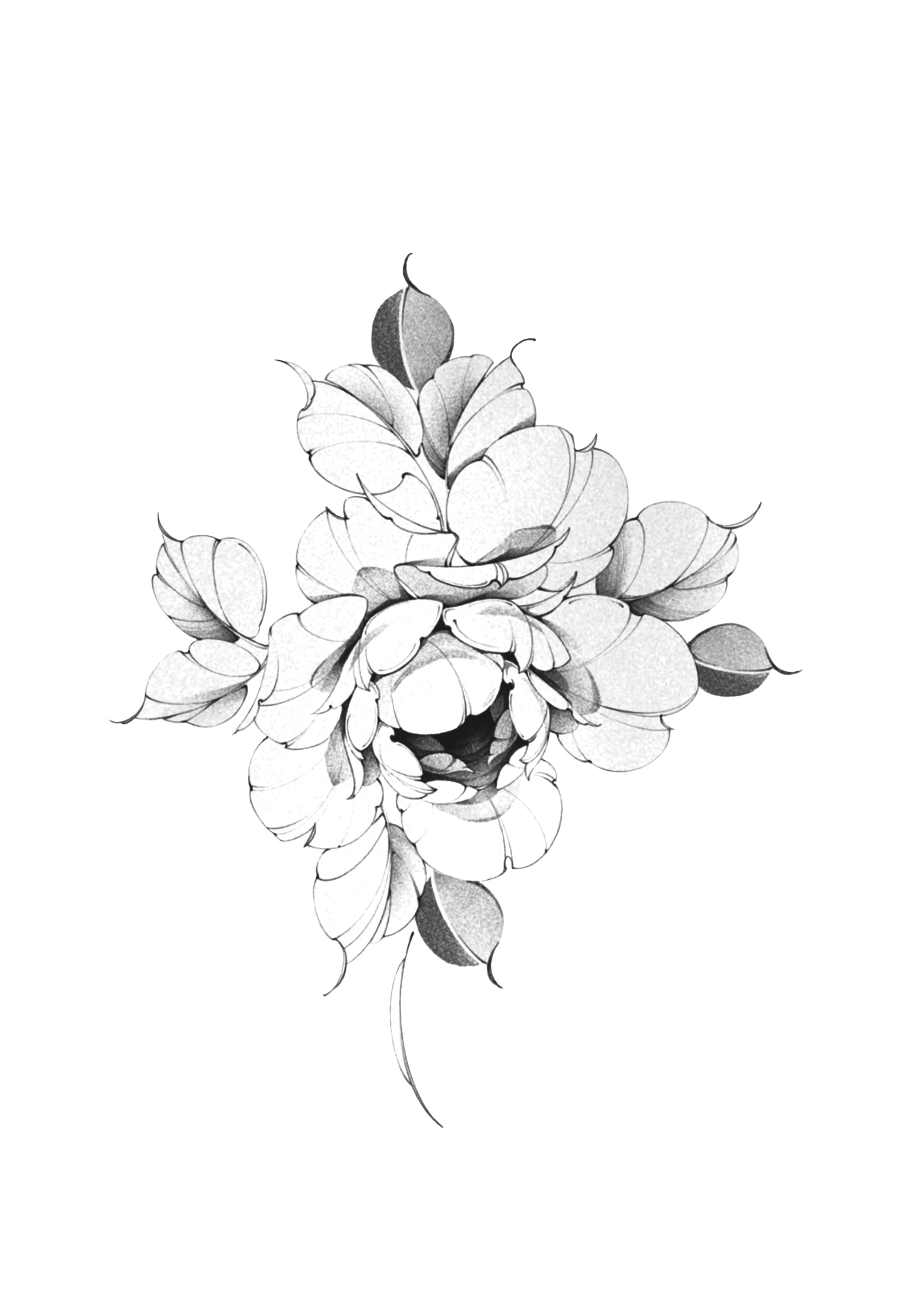 Flor