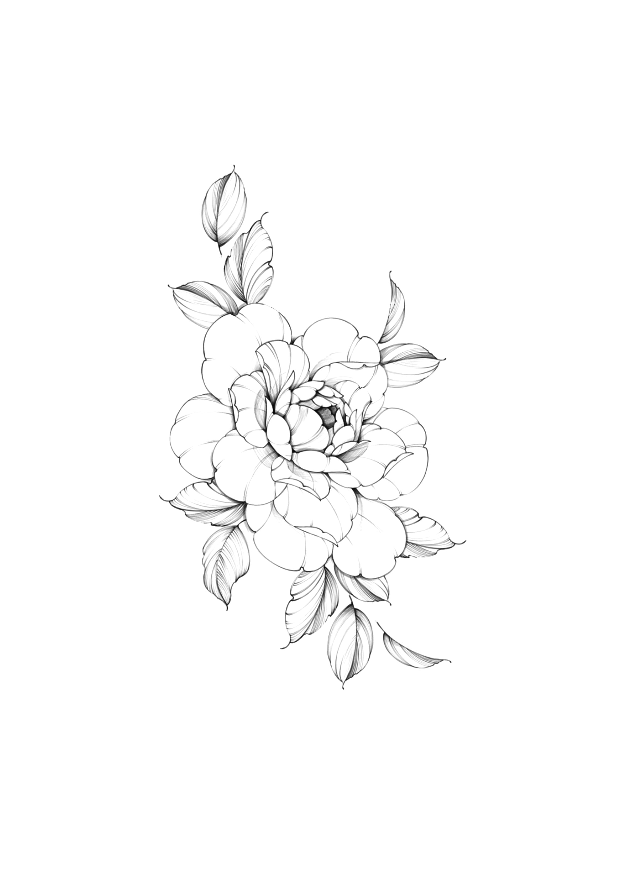 Flor