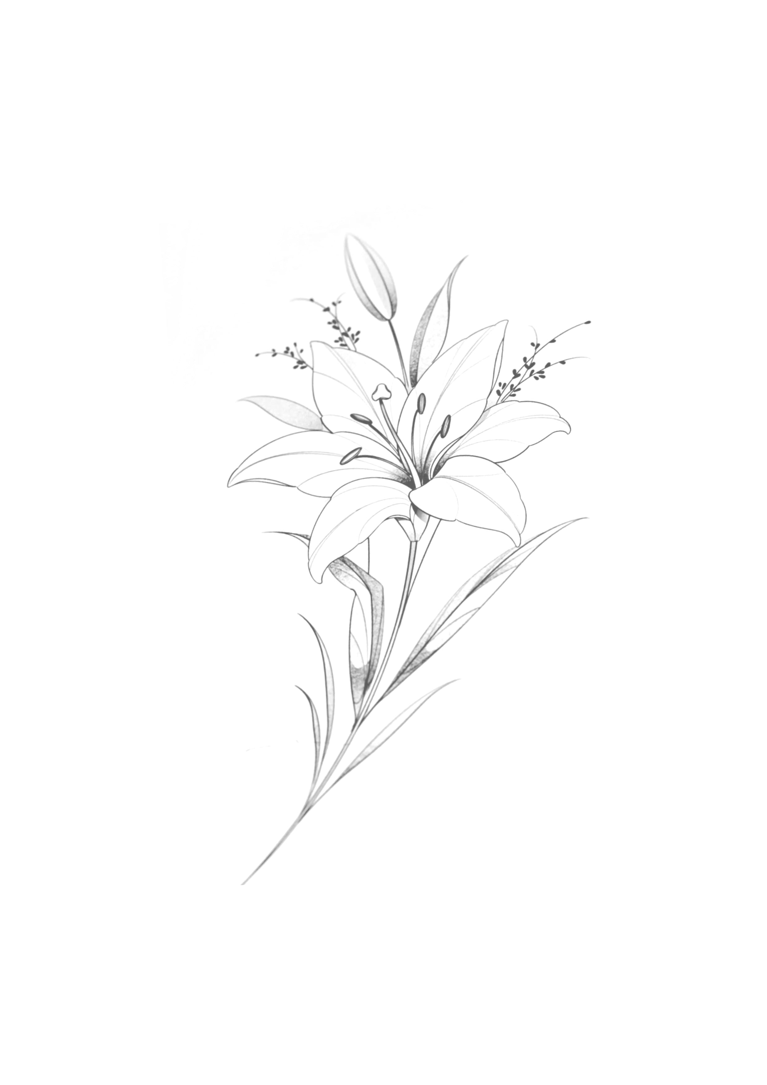 Flor