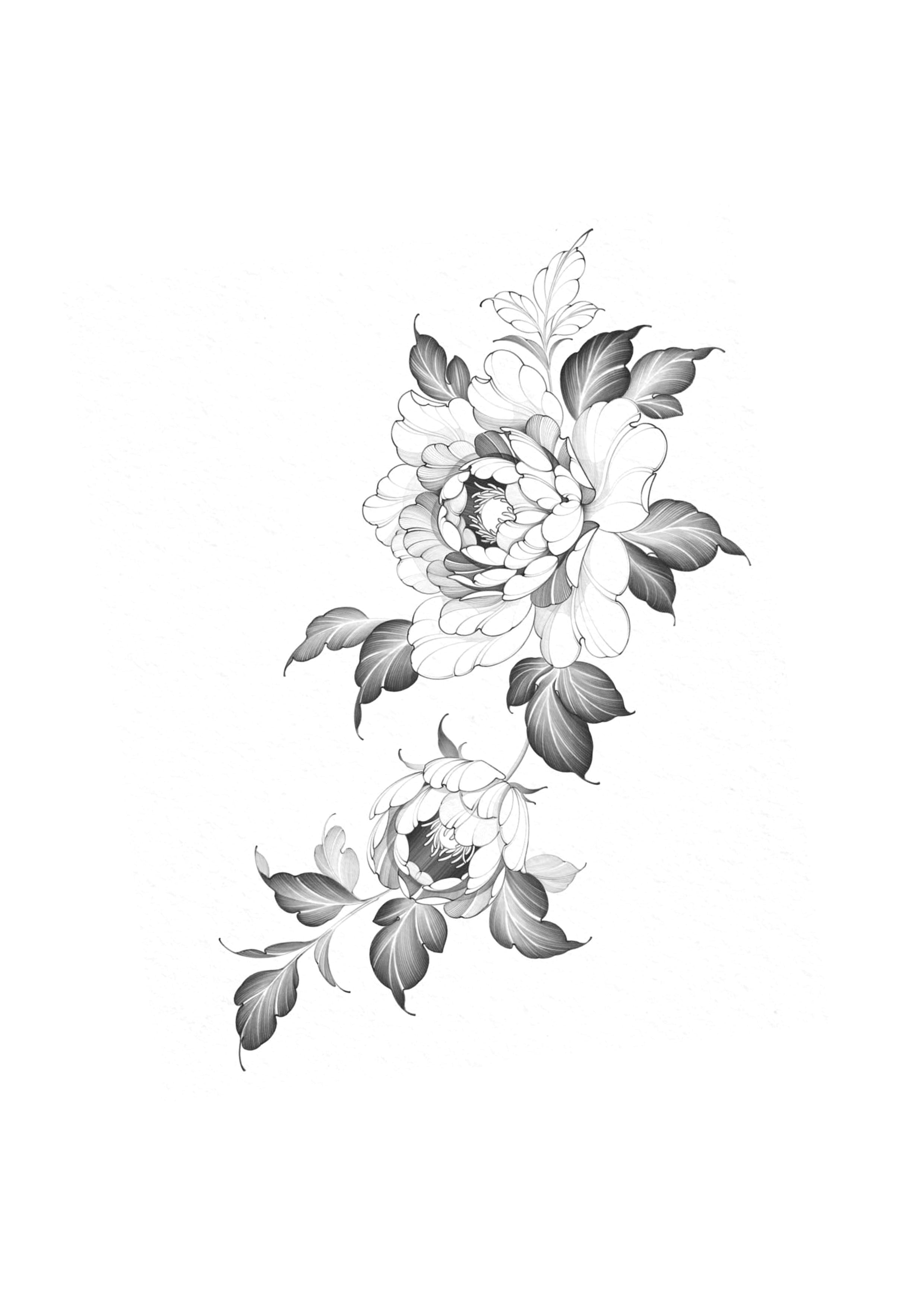 Florais