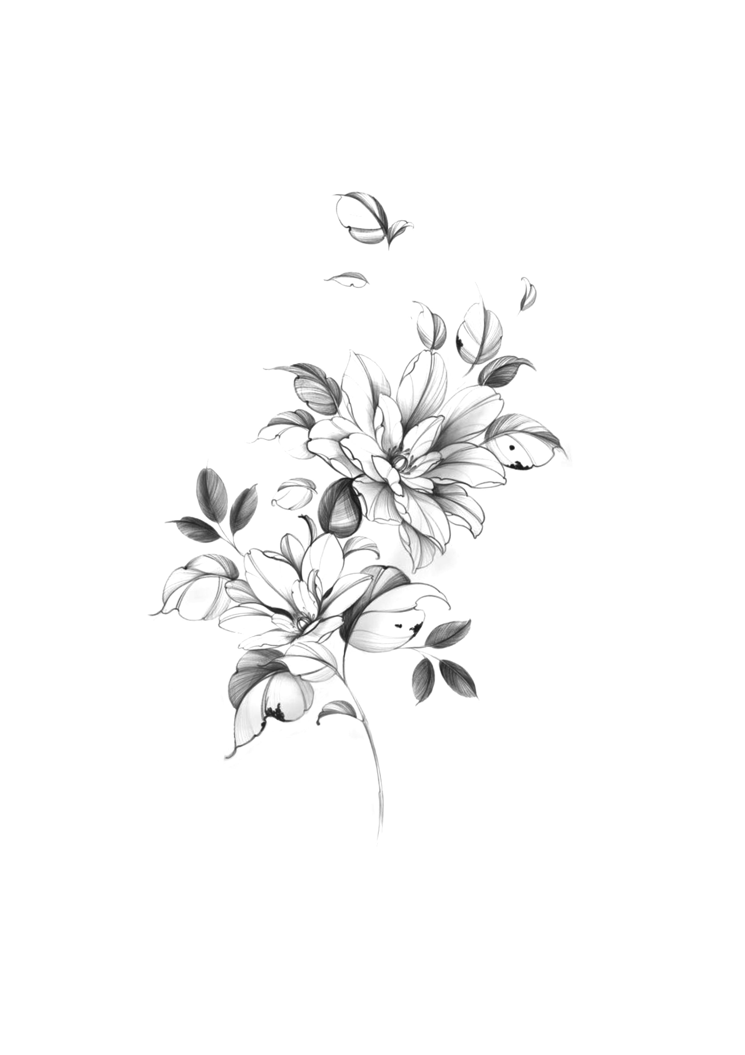 Florais