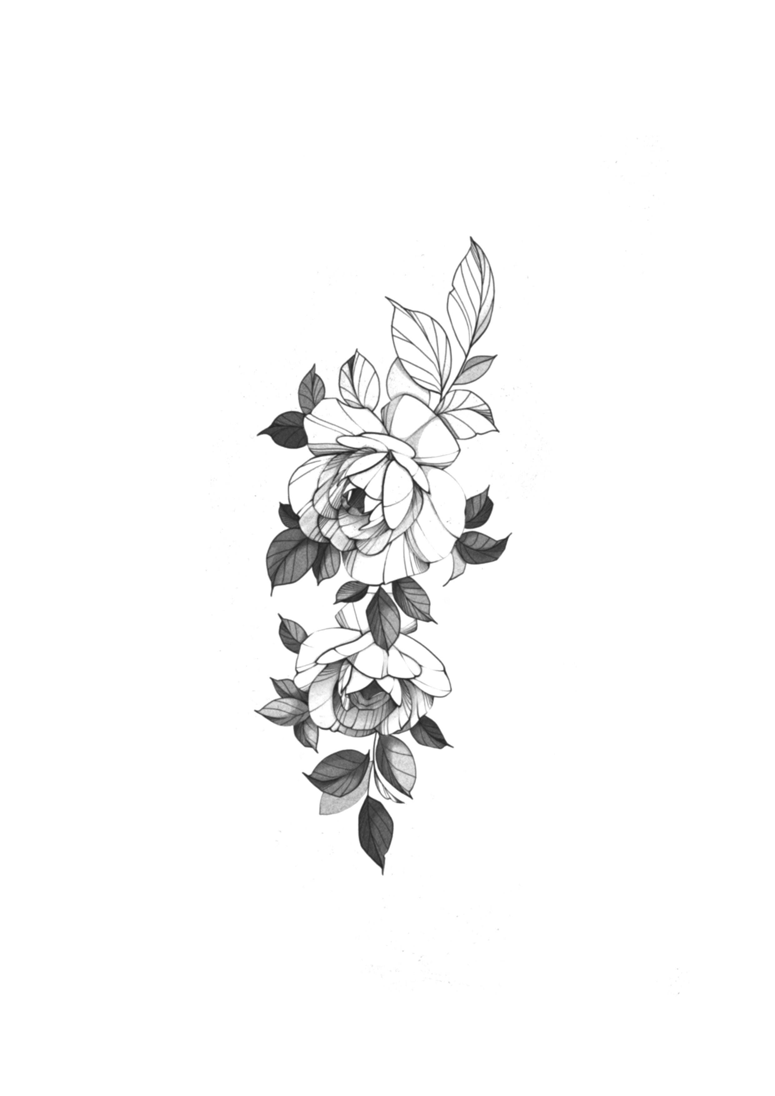 Florais