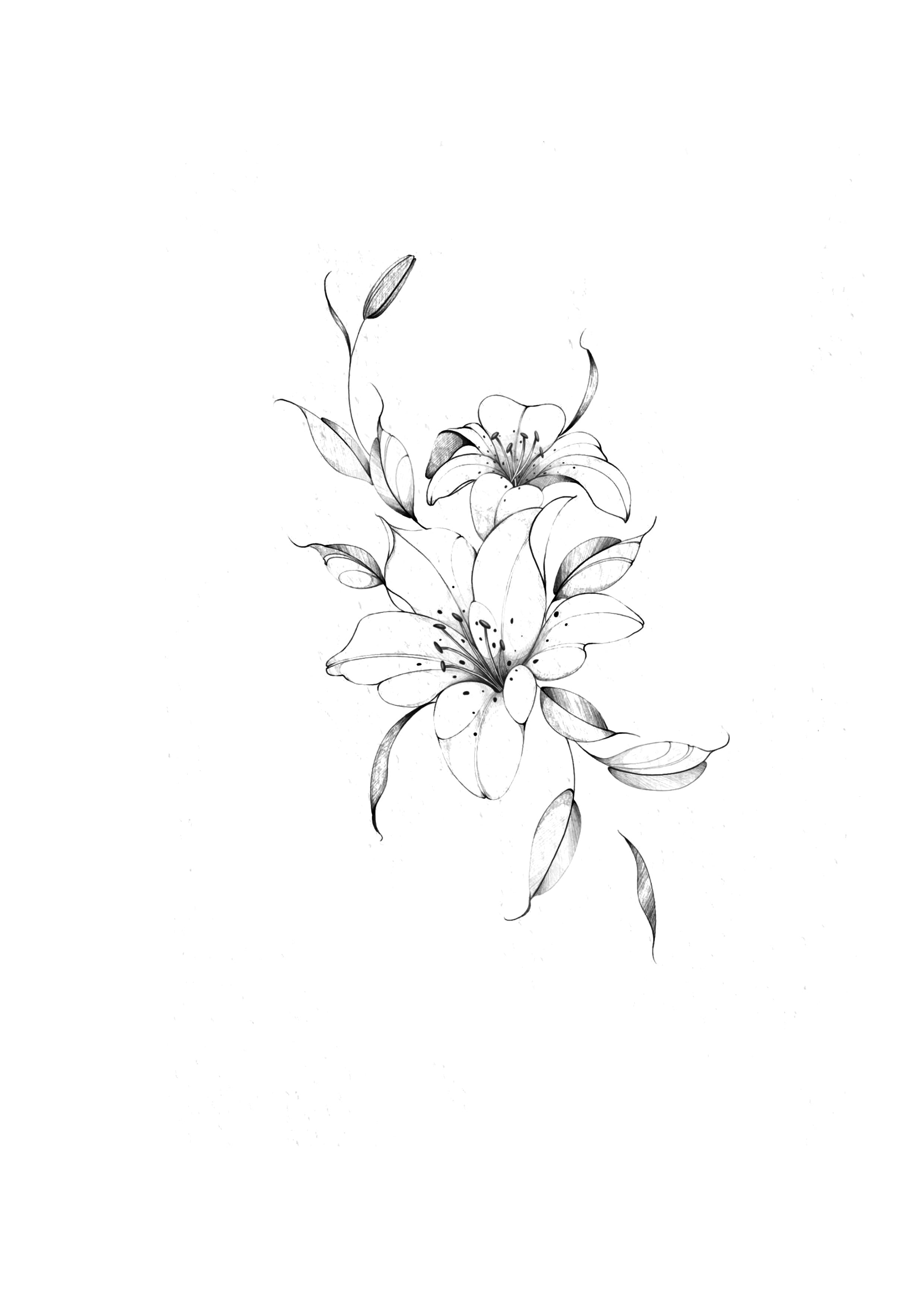 Florais