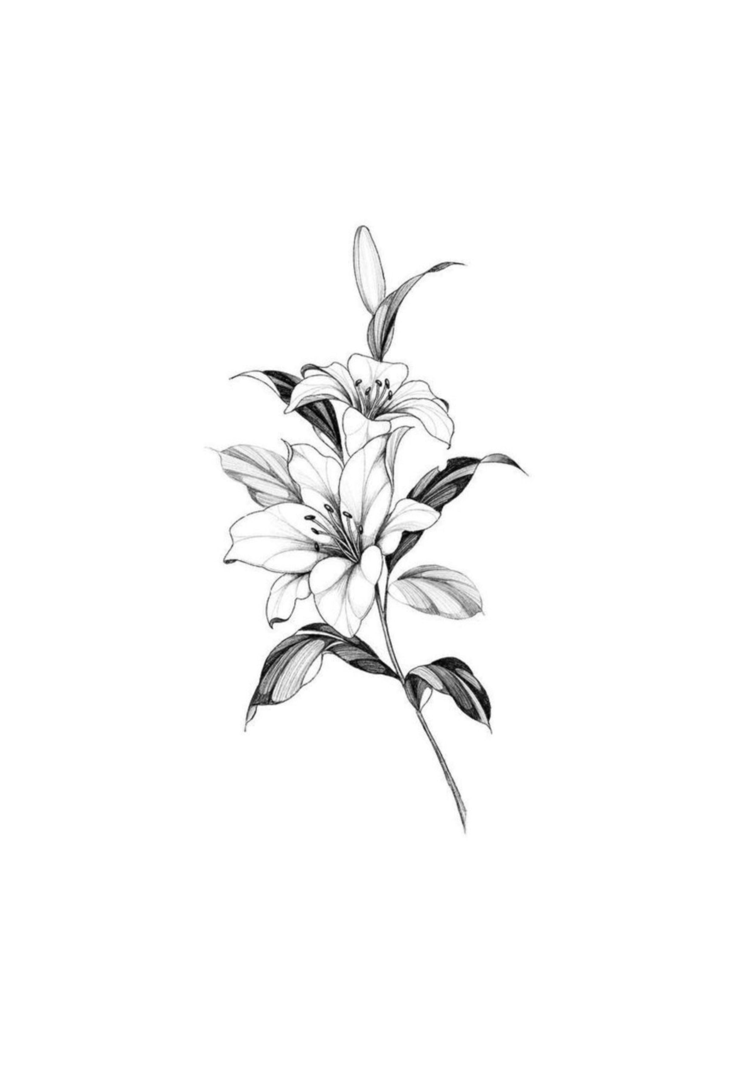 Florais
