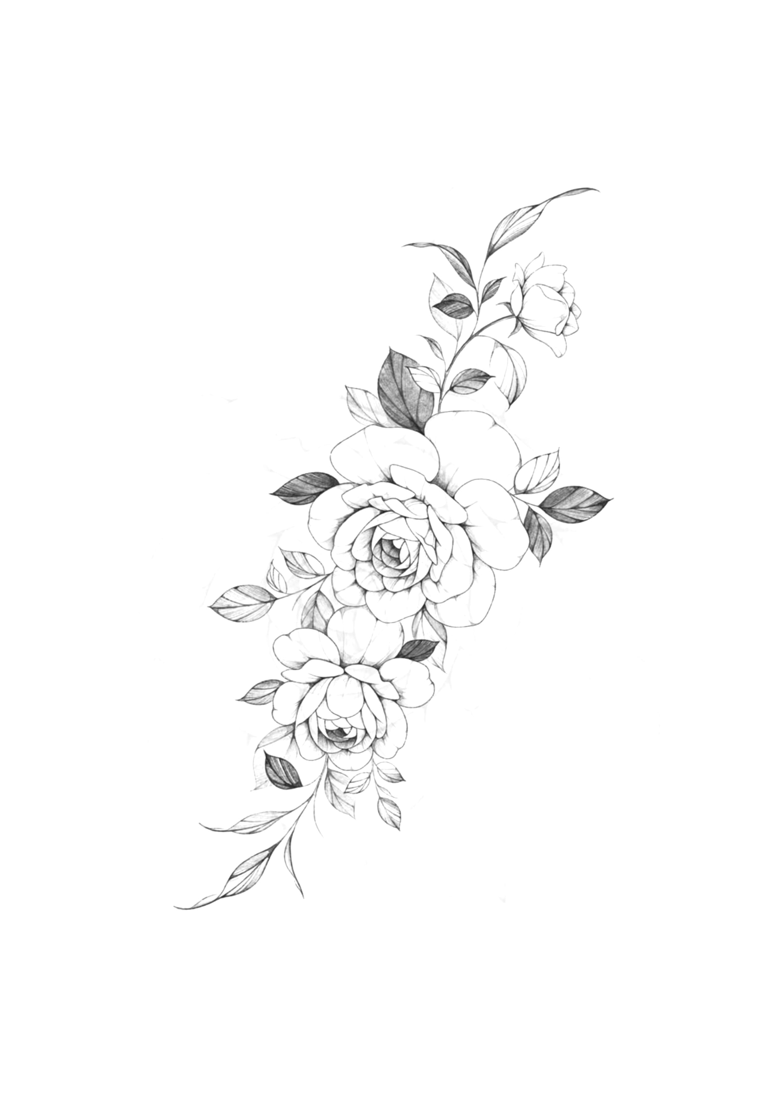 Florais