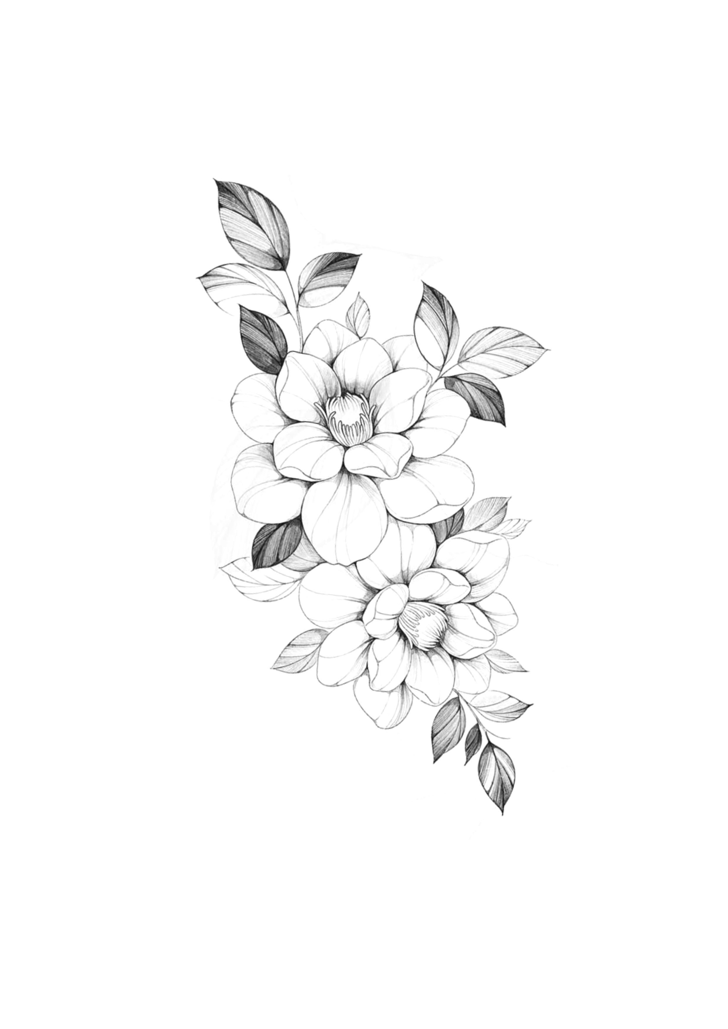 Florais