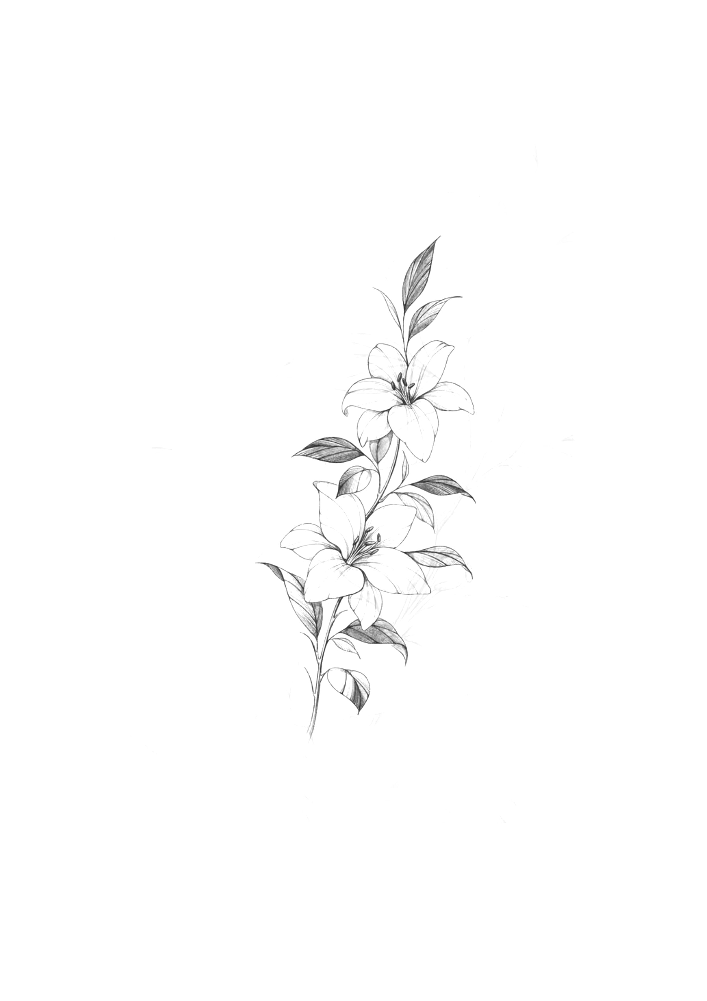 Florais