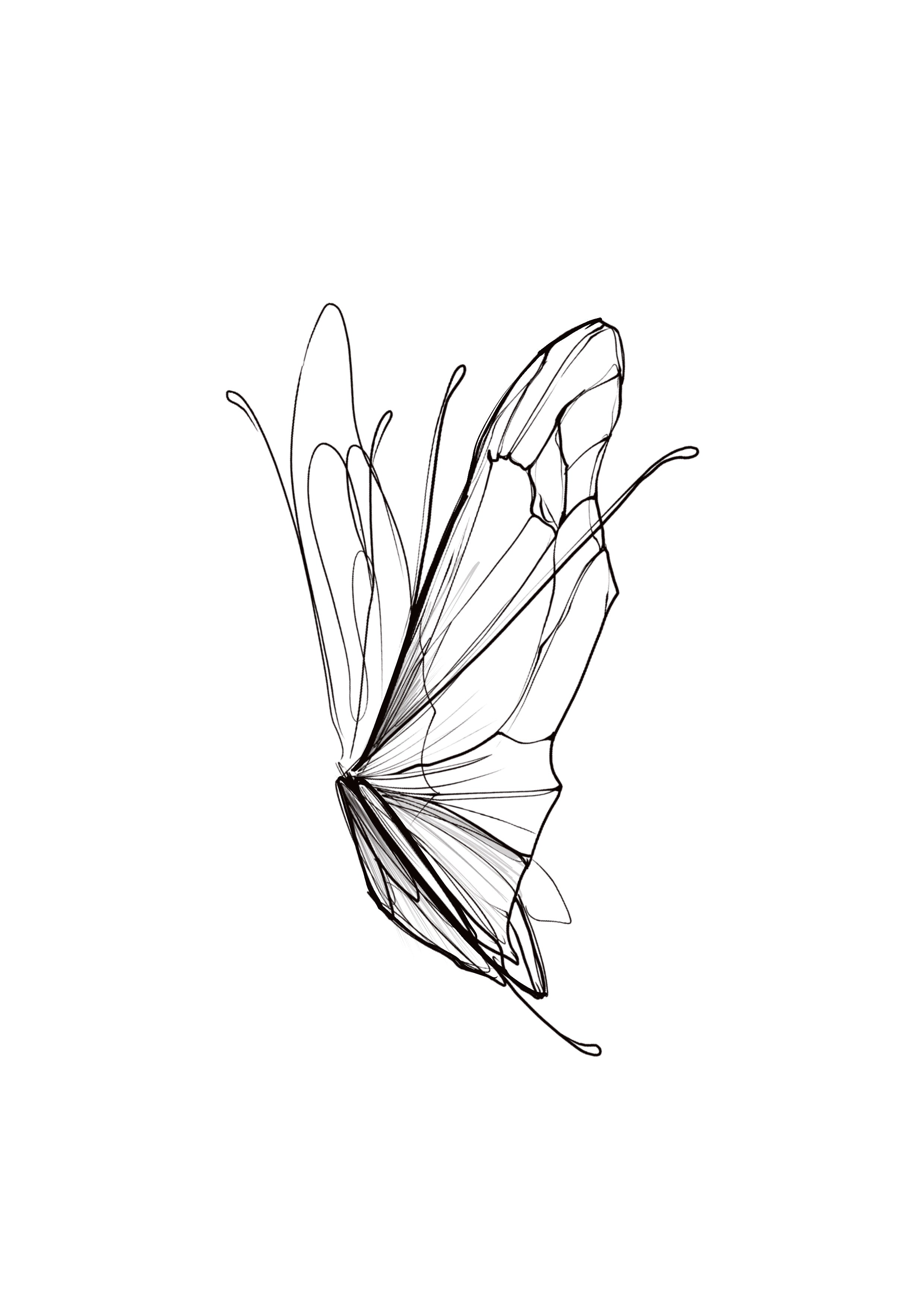 SKETCH