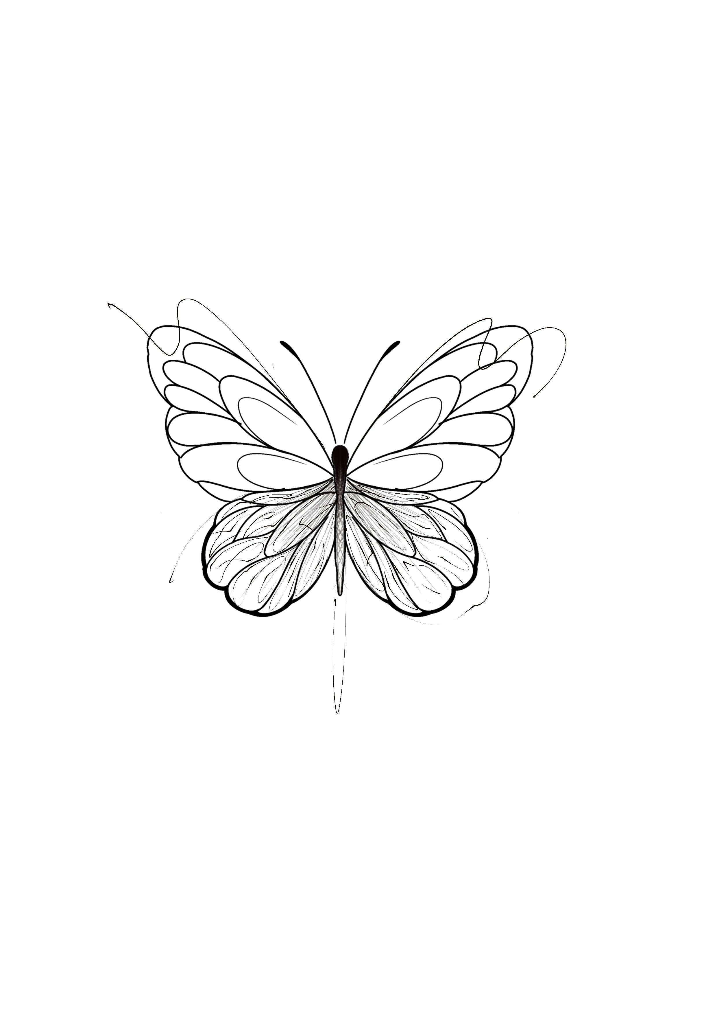 SKETCH