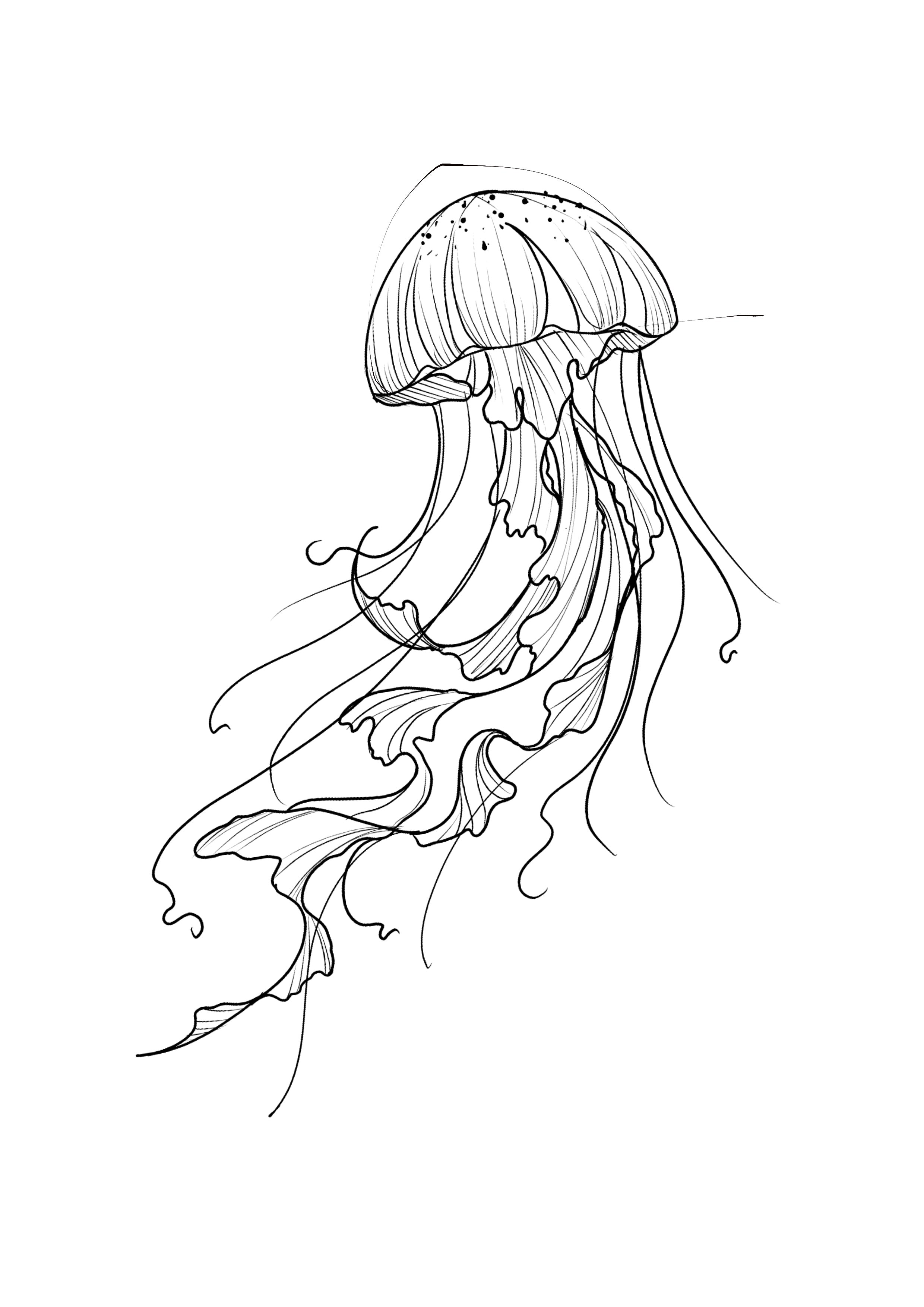 SKETCH
