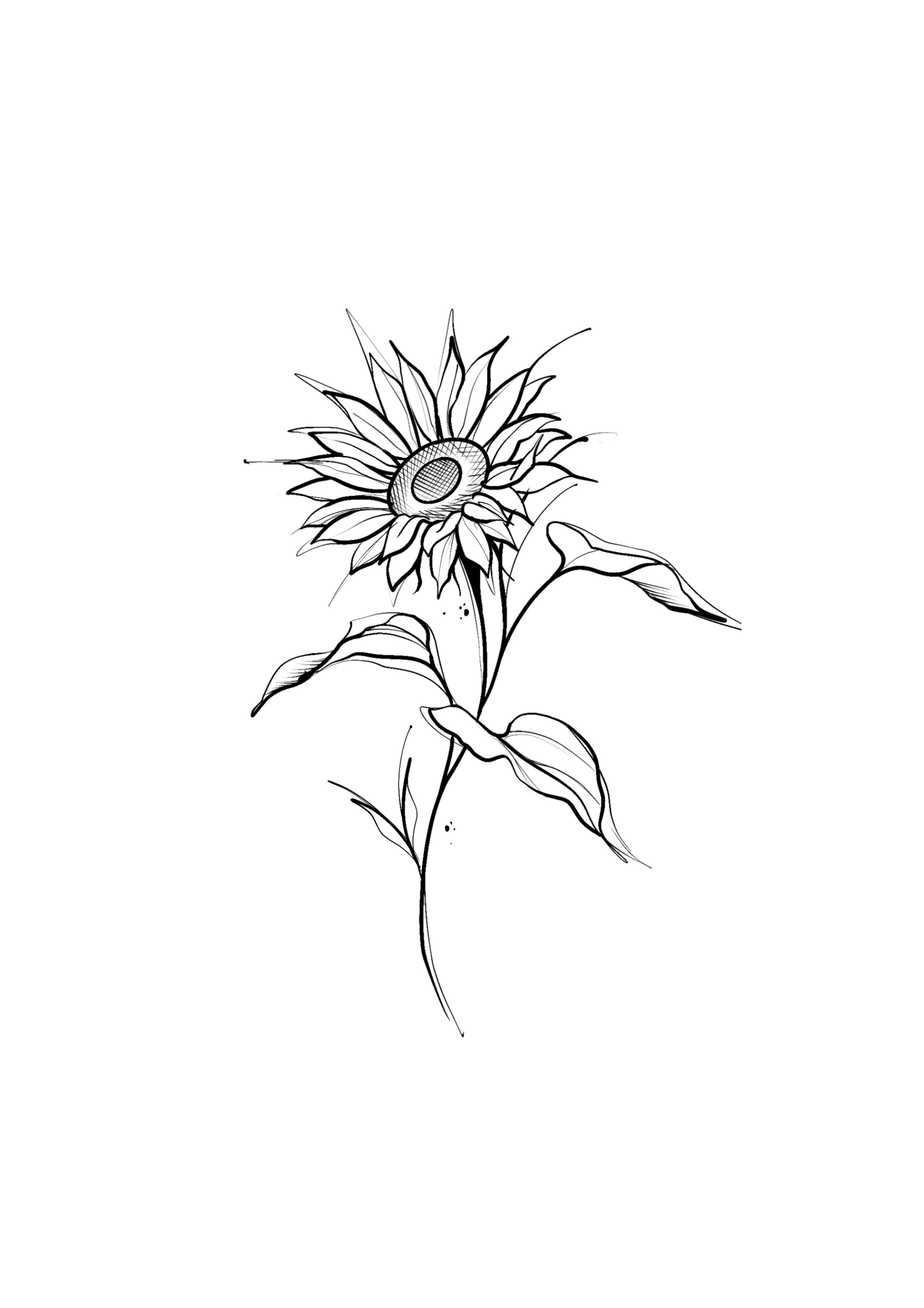 SKETCH