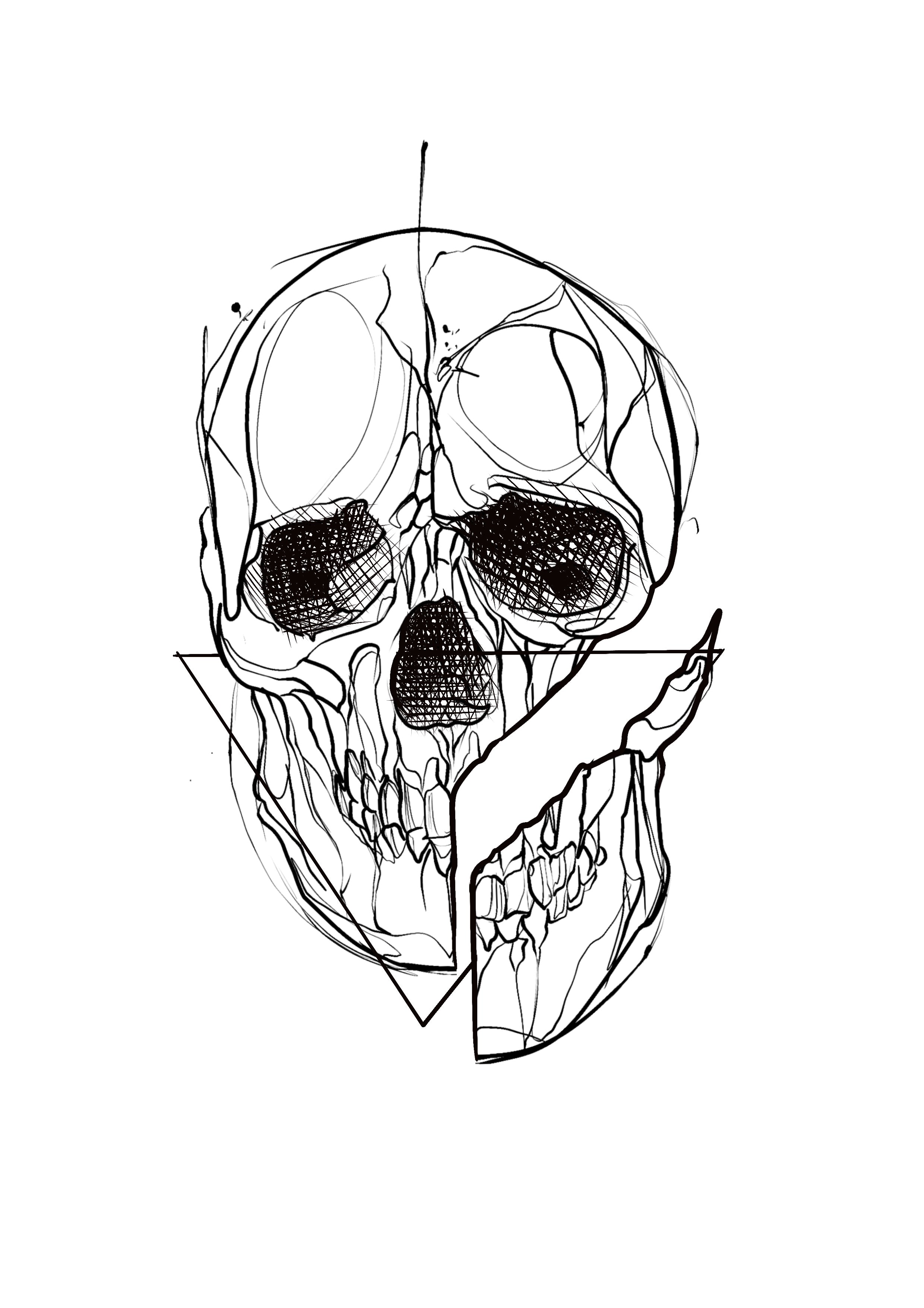 SKETCH