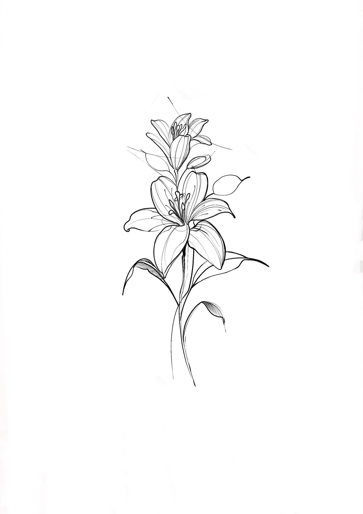 SKETCH
