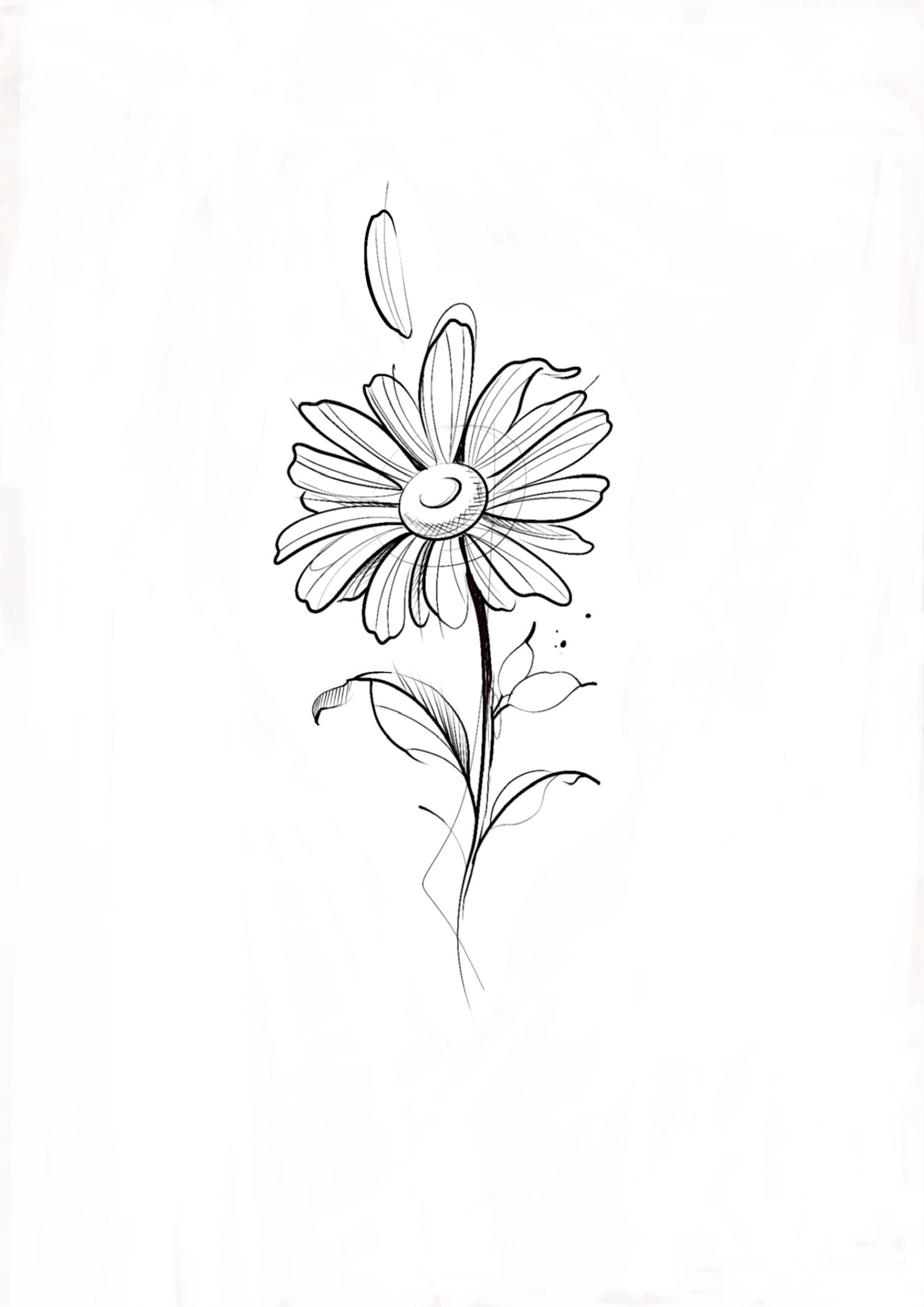 SKETCH