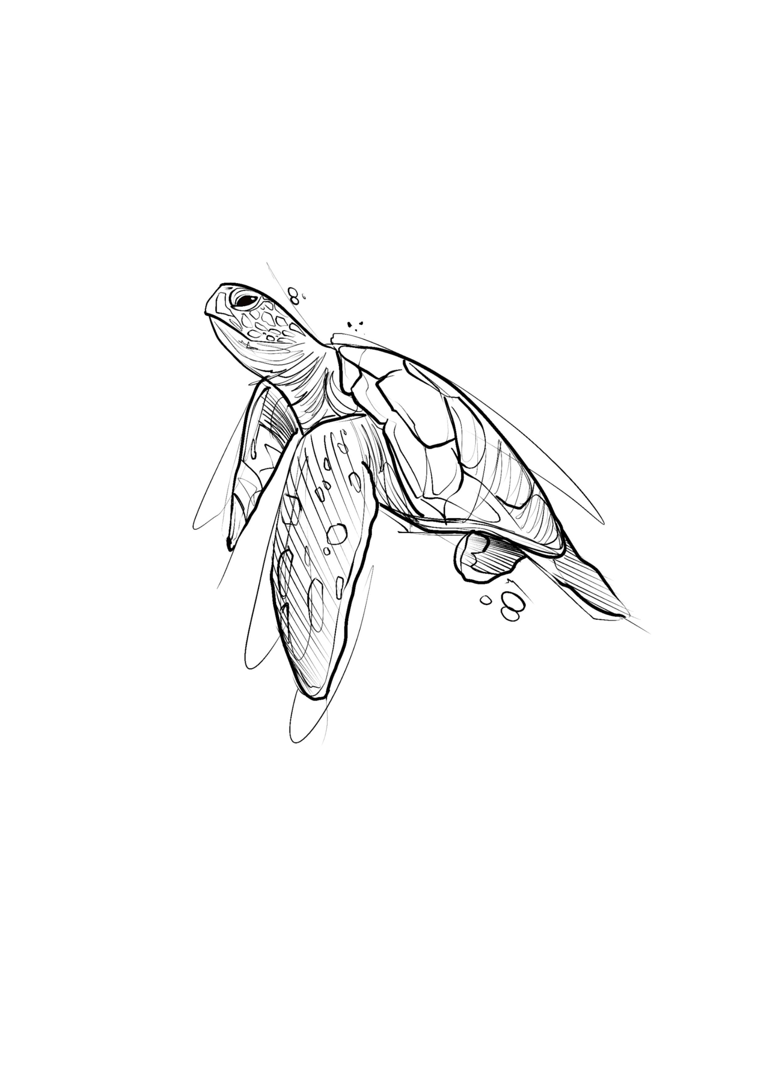 SKETCH
