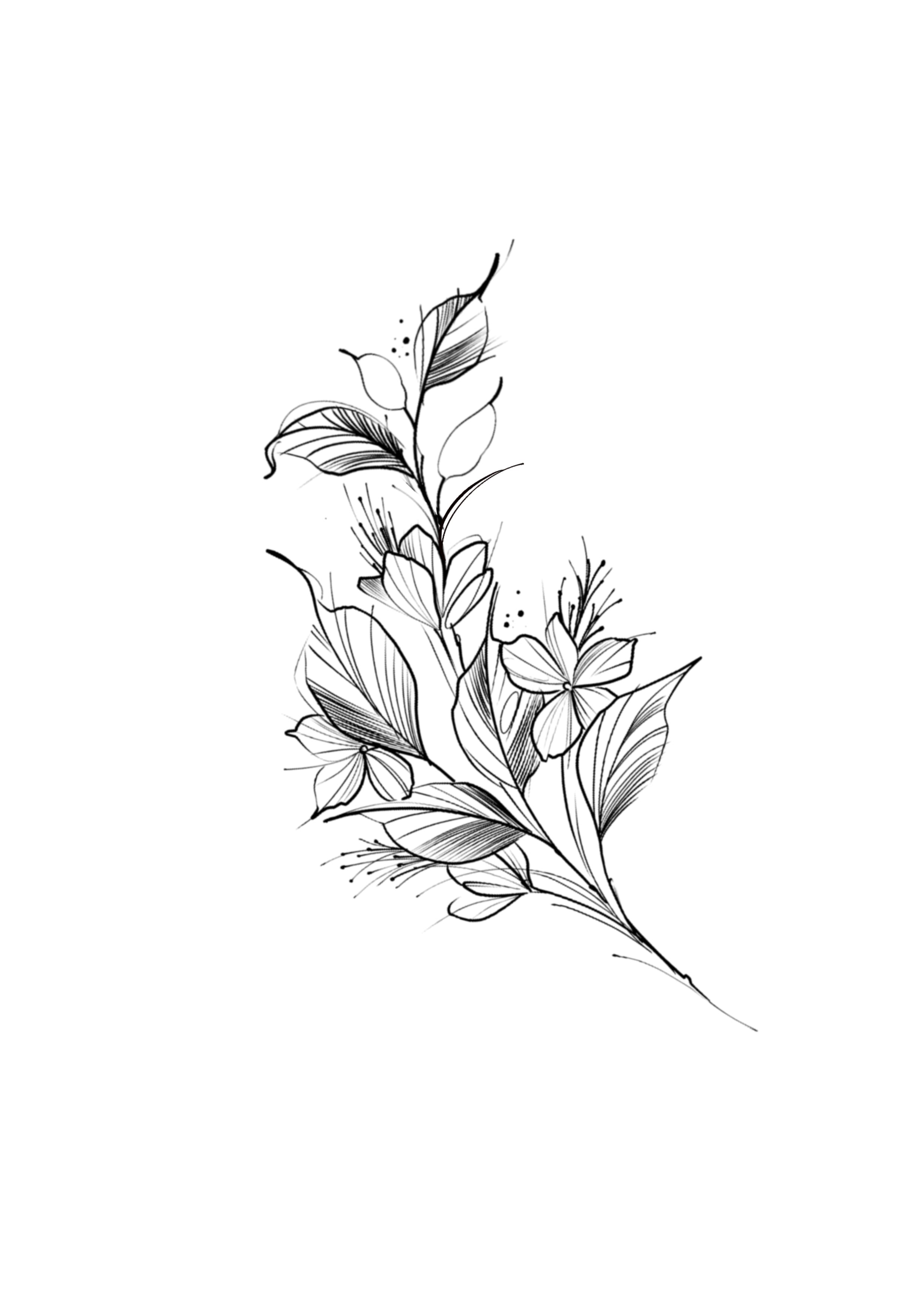 SKETCH
