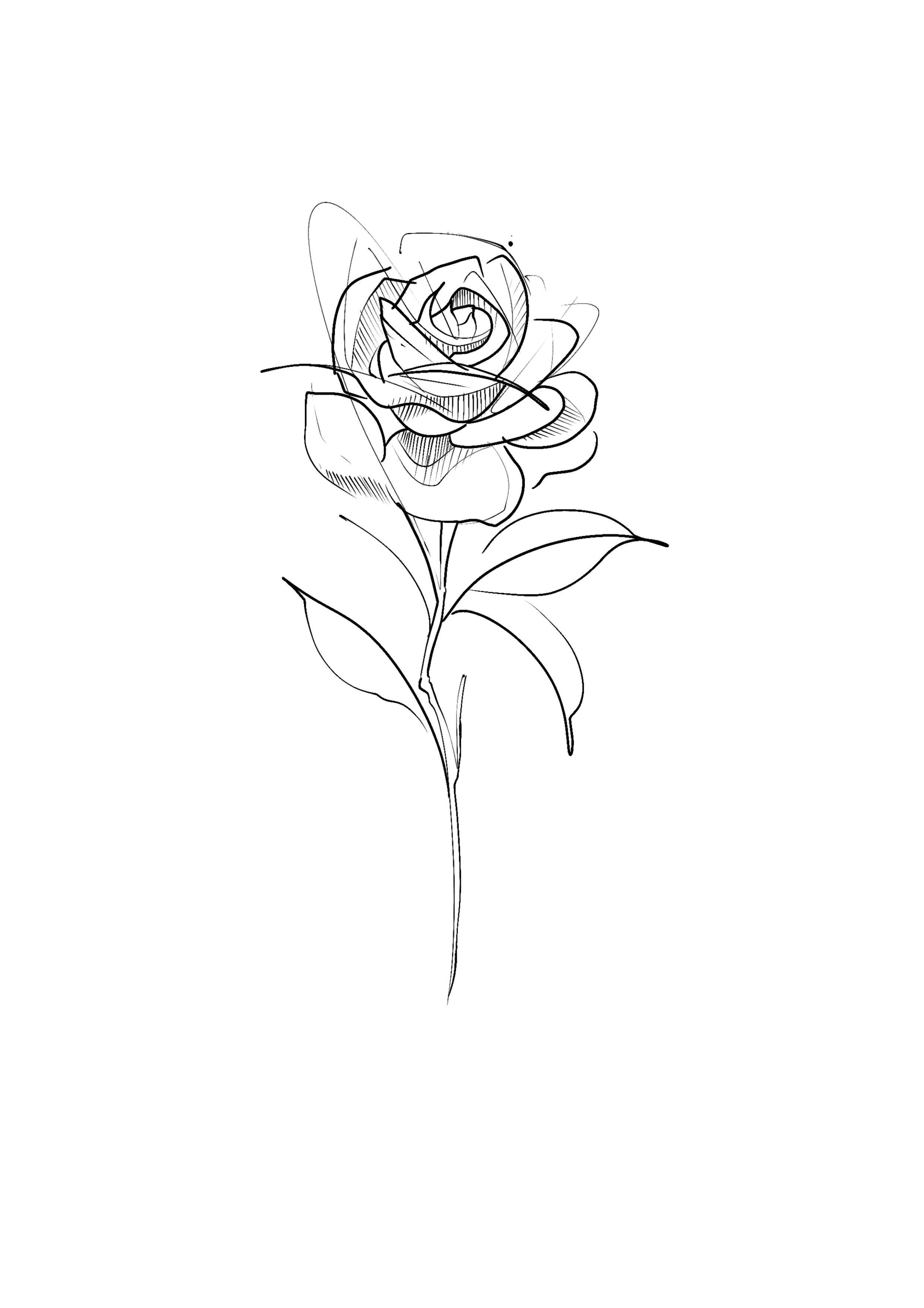 SKETCH