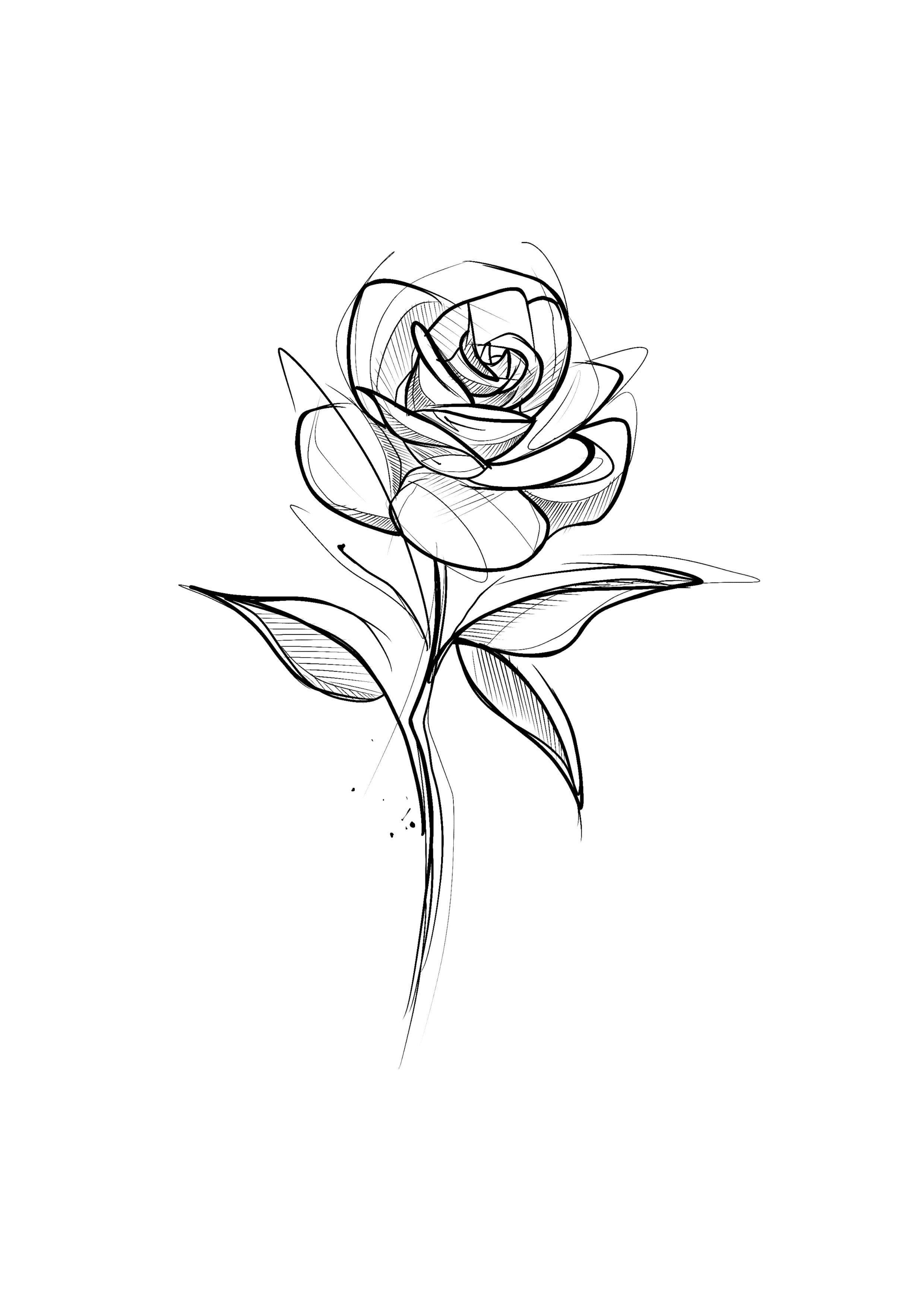 SKETCH